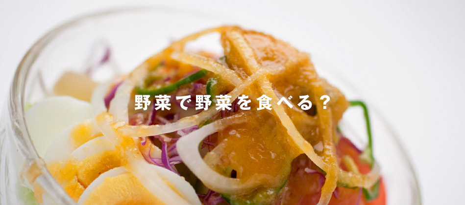 野菜で野菜を食べる？